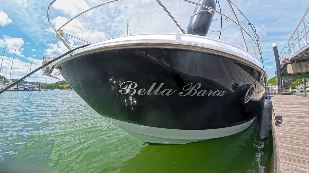 bow logo