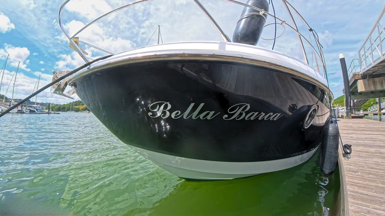 bow logo