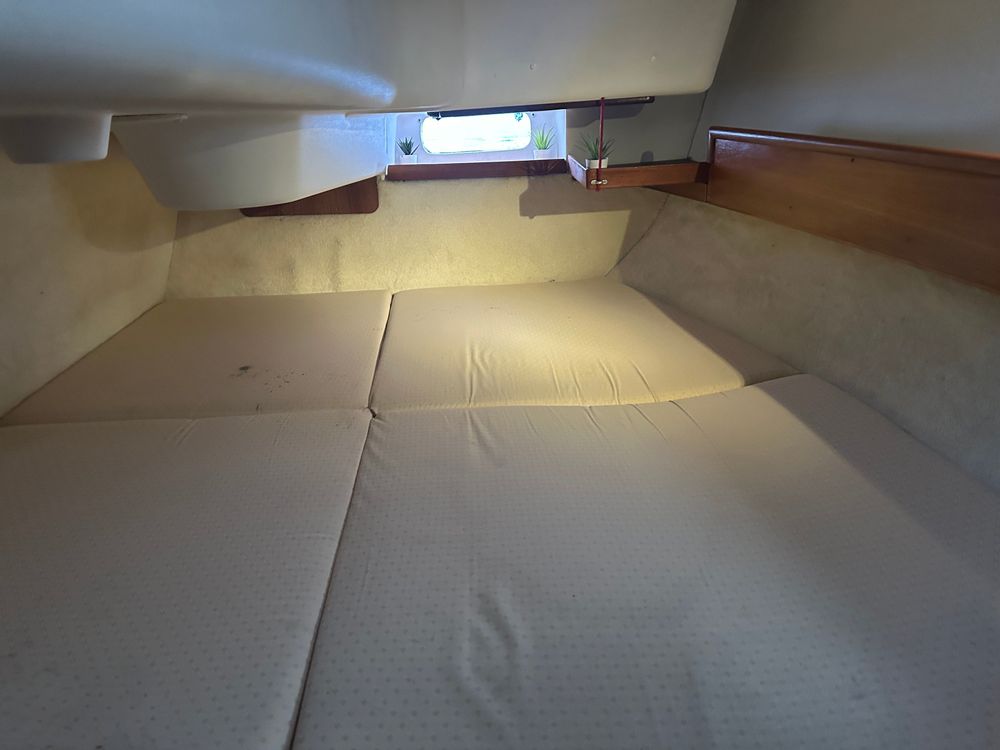 aft cabin