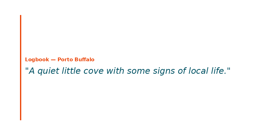 porto buffalo
